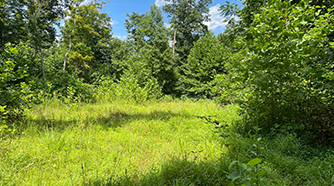 0 State Route 124 land for sale