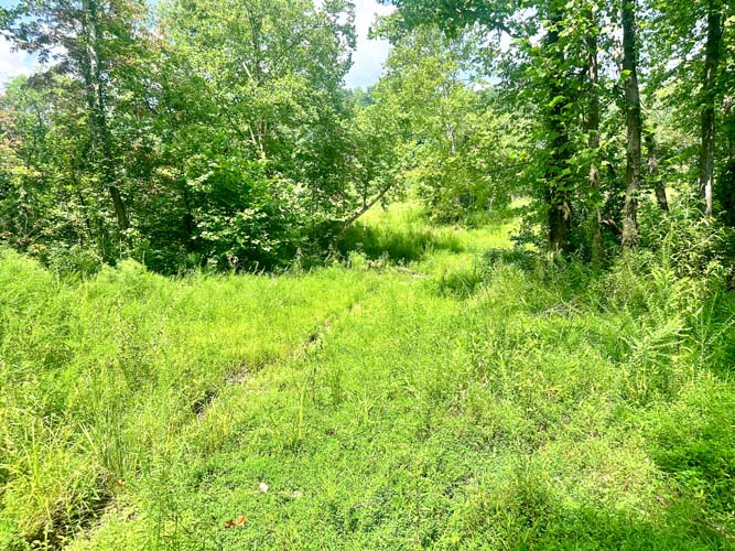 Wooded acreage and land features at State Route 218, Gallipolis, Gallia County, Ohio – Image 10