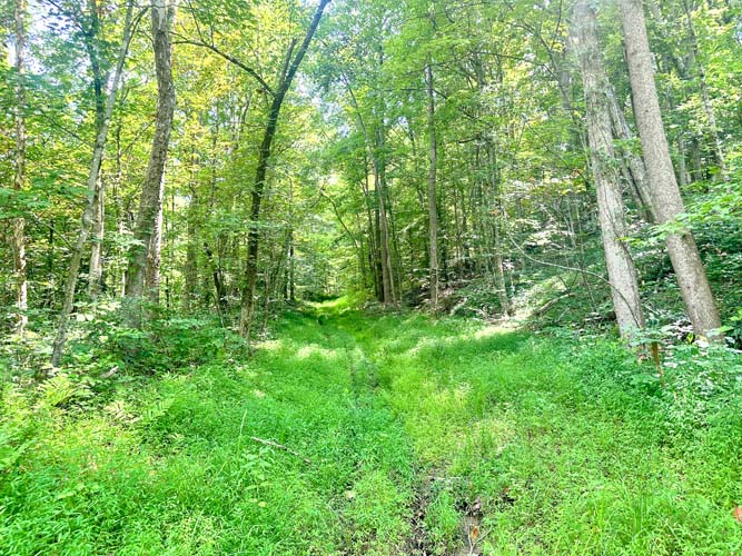 Wooded acreage and land features at State Route 218, Gallipolis, Gallia County, Ohio – Image 14