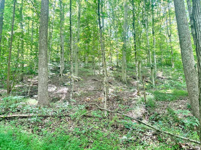 Wooded acreage and land features at State Route 218, Gallipolis, Gallia County, Ohio – Image 16