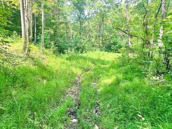 Wooded acreage and land features at State Route 218, Gallipolis, Gallia County, Ohio – Image 18
