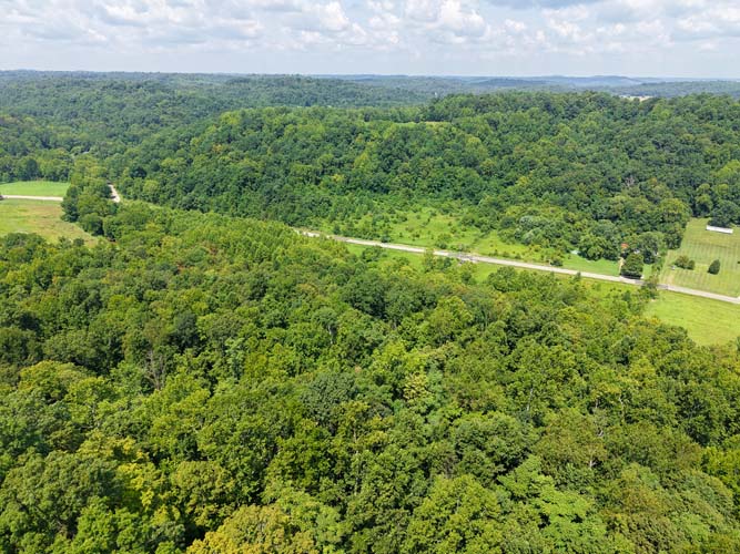 Wooded acreage and land features at State Route 218, Gallipolis, Gallia County, Ohio – Image 4