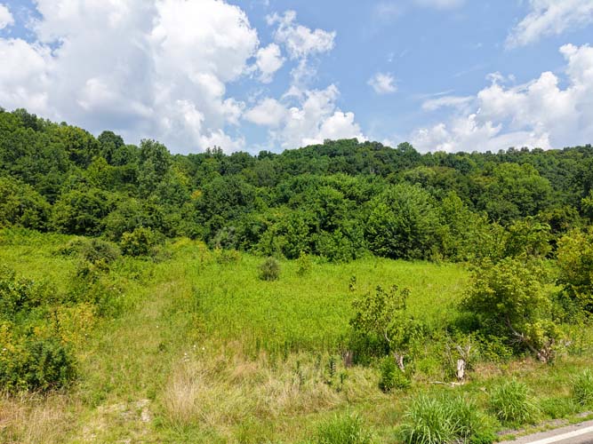 Wooded acreage and land features at State Route 218, Gallipolis, Gallia County, Ohio – Image 6