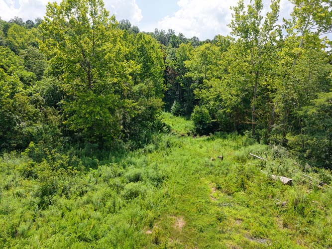 Wooded acreage and land features at State Route 218, Gallipolis, Gallia County, Ohio – Image 7