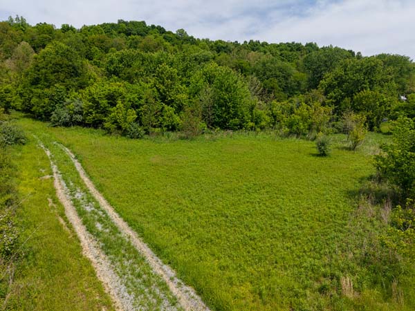 State Route 218 frontage both sides Gallia County