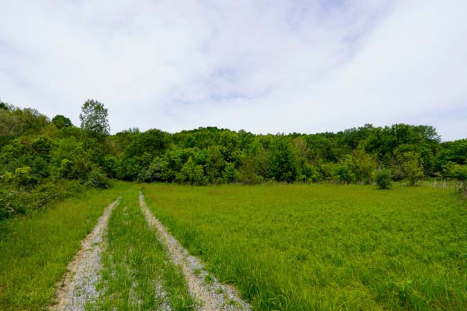 Little Bullskin Creek frontage wooded Ohio hunting tract