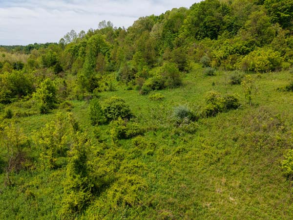 Wooded terrain ATV trails Gallia County Ohio