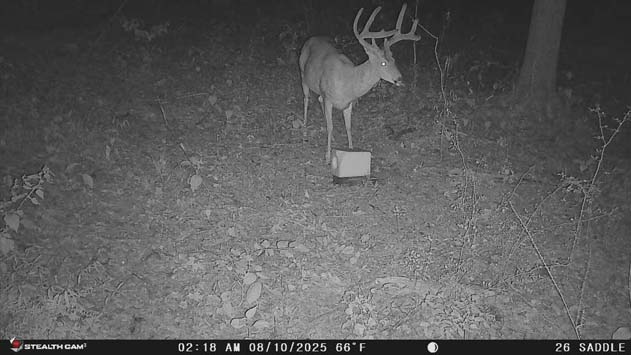 Food plots on flat bench area SR 26 Washington County Ohio