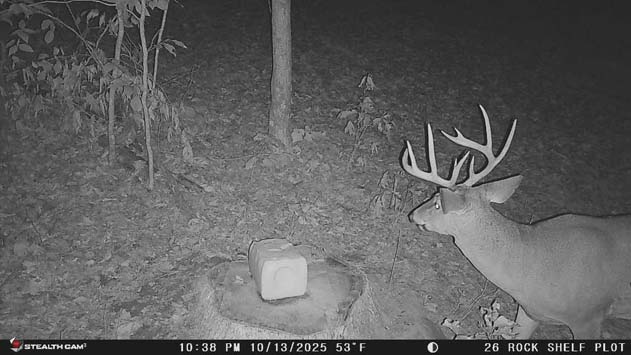 76 acres State Route 26 Marietta Ohio hunting land
