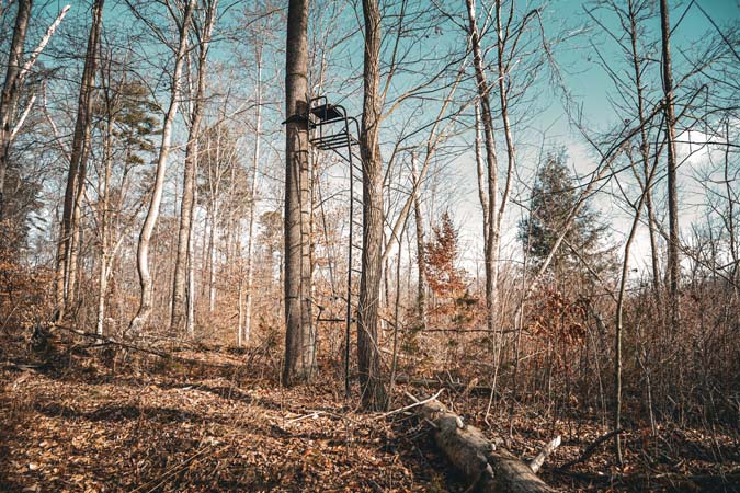 Forested acreage near protected public lands