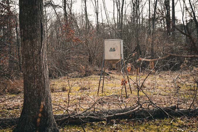 Small cabin with off-grid style amenities