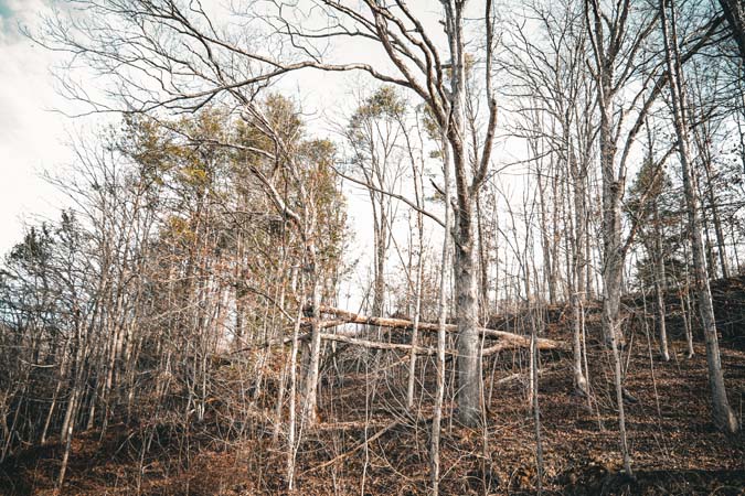 Southeastern Ohio hunting and recreational tract