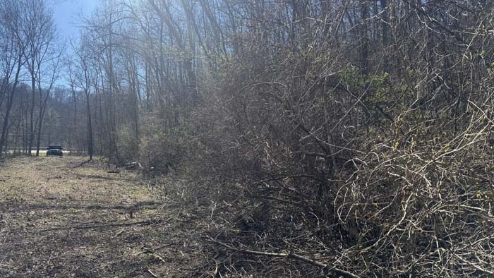 Secluded acreage with rock outcroppings