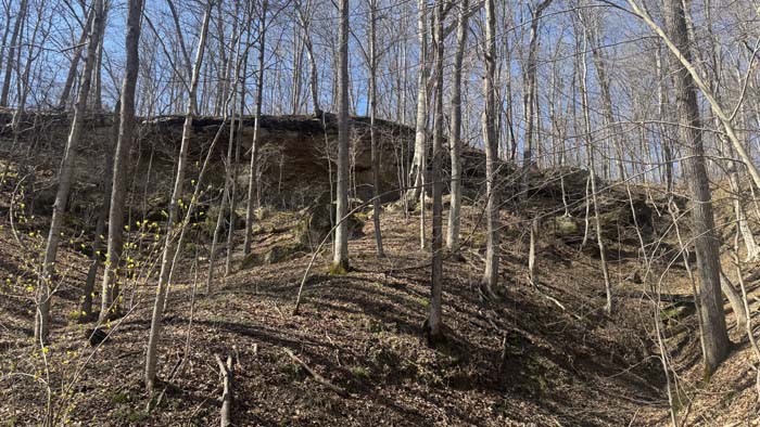 Aerial of wooded parcel near state forest land