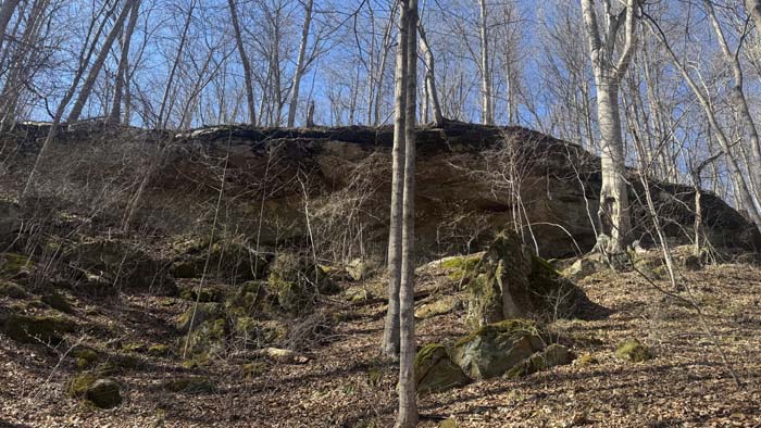 Natural travel corridors for wildlife movement