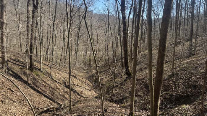 Rock formations throughout wooded property