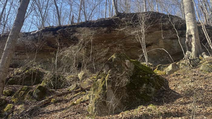 Quiet rural setting ideal for cabin build