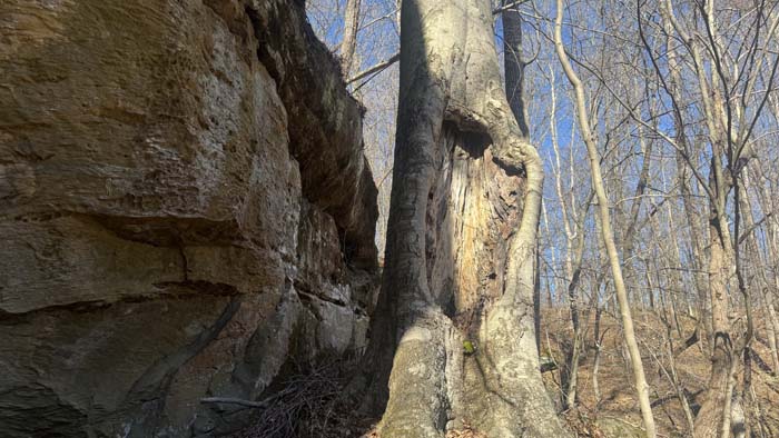 Private acreage near Zaleski State Forest