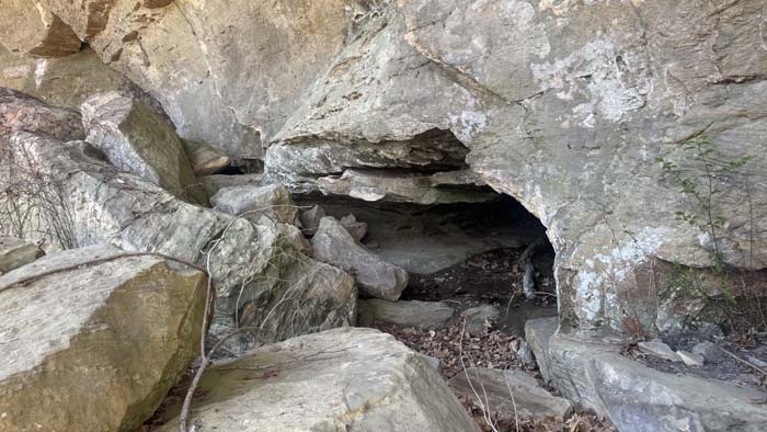 Forest landscape with rock ledges and cliffs