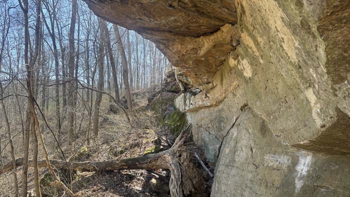 Recreational land with timber and natural features