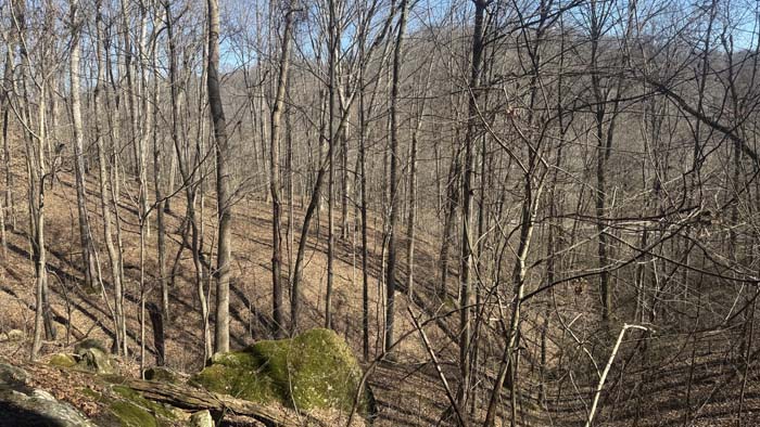 Quiet countryside with scenic wooded views