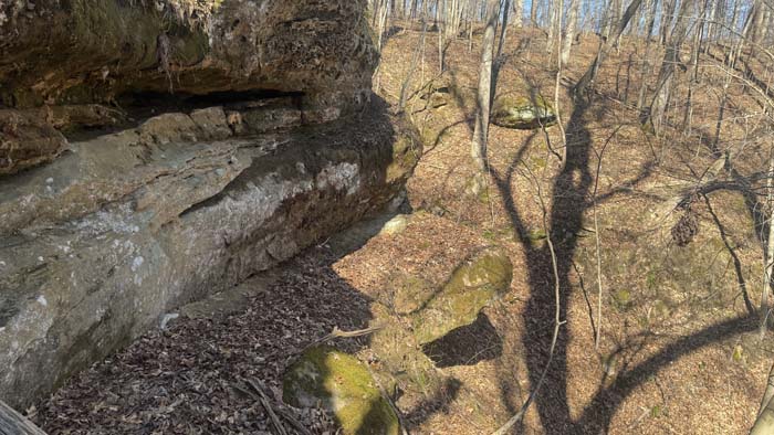 Forest trails and rock formations across acreage