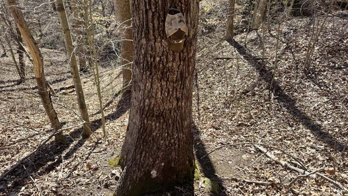 Southern Ohio land ideal for hunting and recreation