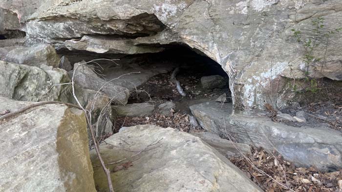 Wooded acreage with natural rock formations