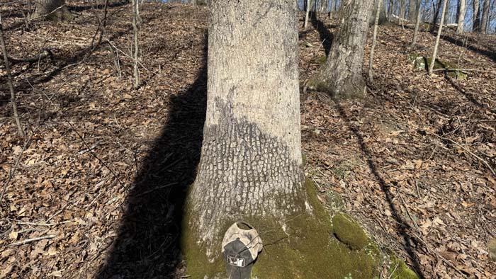 Aerial perspective of private land parcel