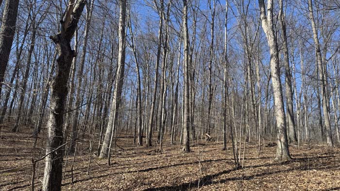 Secluded land with natural rock outcroppings