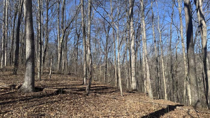 Aerial view showing wooded ridges and valleys