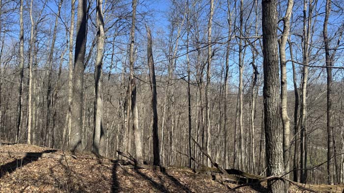 Private recreational land near Athens Ohio