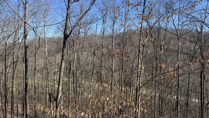 Southern Ohio land with excellent hunting potential