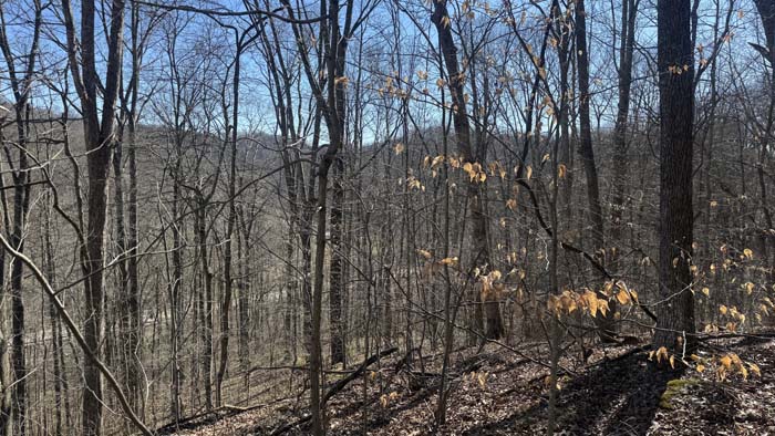 Aerial showing proximity to nearby towns and forest