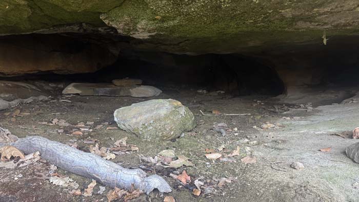 Rolling terrain with timber and scenic views