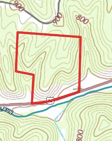 Forest landscape with natural features and privacy