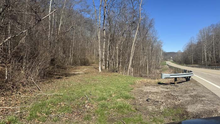 Trail access through wooded property