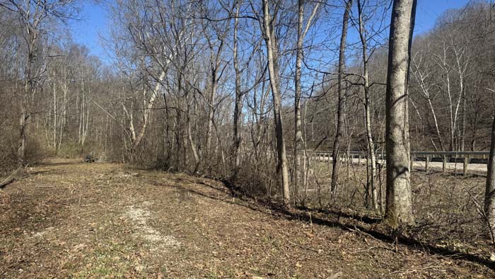 Dense timber and wildlife habitat