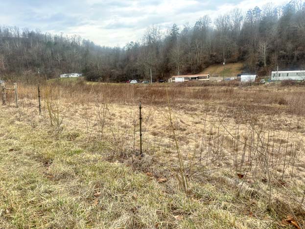 Country land suitable for camper site