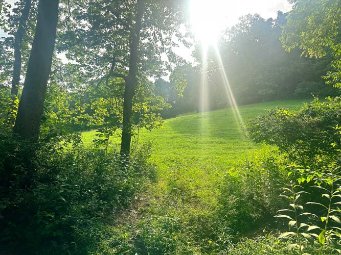 UTV trail through open field
