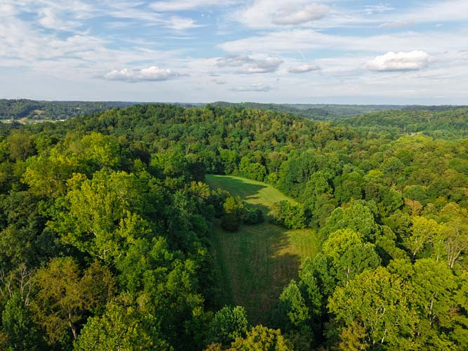 Whitetail habitat in SE Ohio