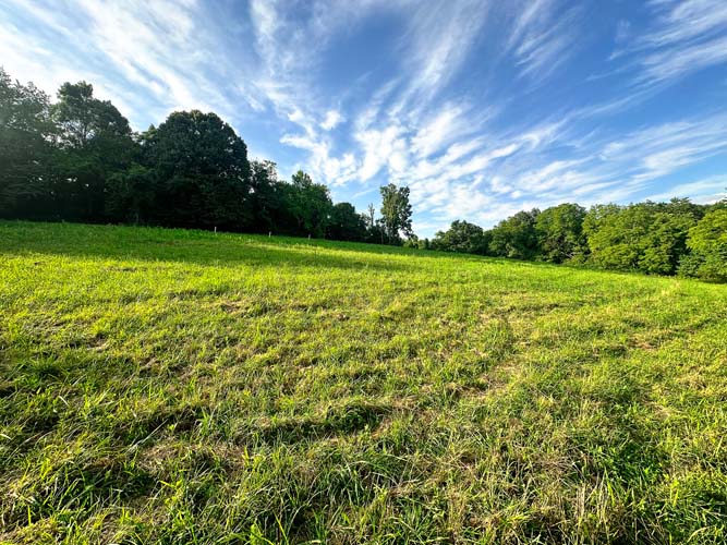 Managed hay field in foreground