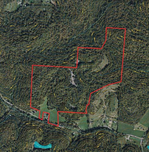 Treestand setup in staging area