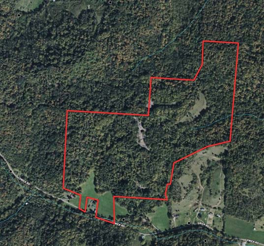 Potential food plot site
