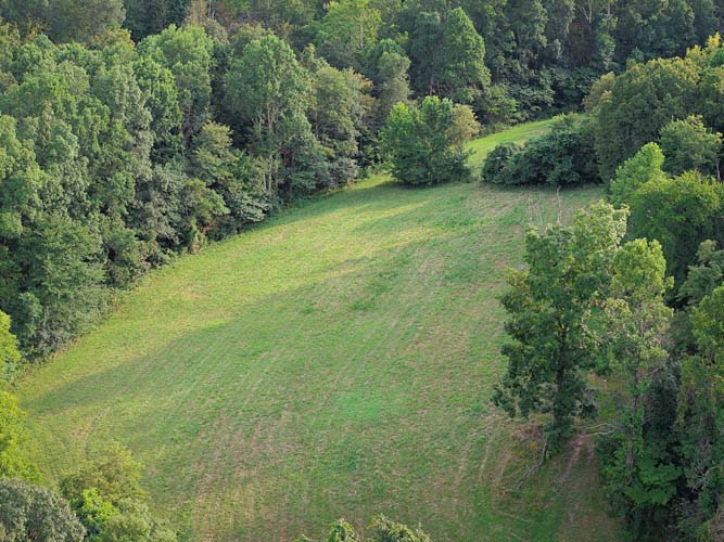 Orchard and food plot area