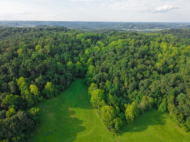 Open buildable site near road