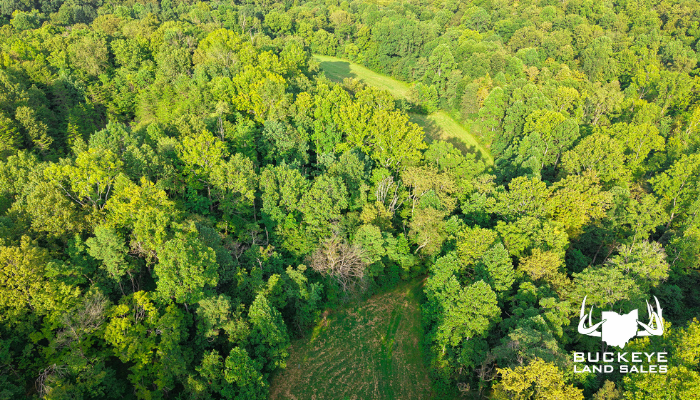 110+/- Acres, Middleport, Ohio, 45760