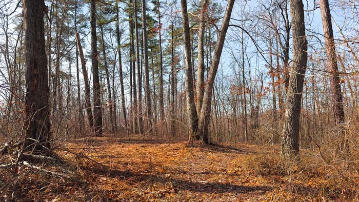 Southern Ohio wooded land for sale with private hunting and recreational use
