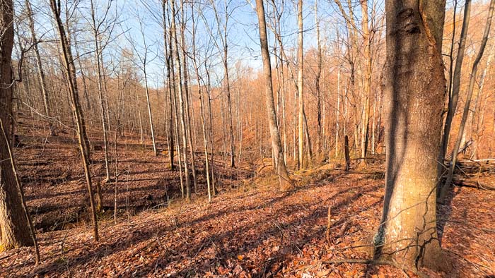 Southern Ohio land with separate sections for hunting and camp