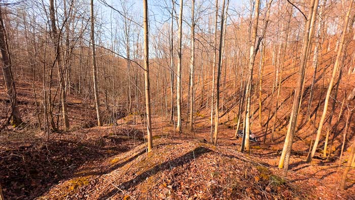 Hunting property with strategic layout for minimal disturbance